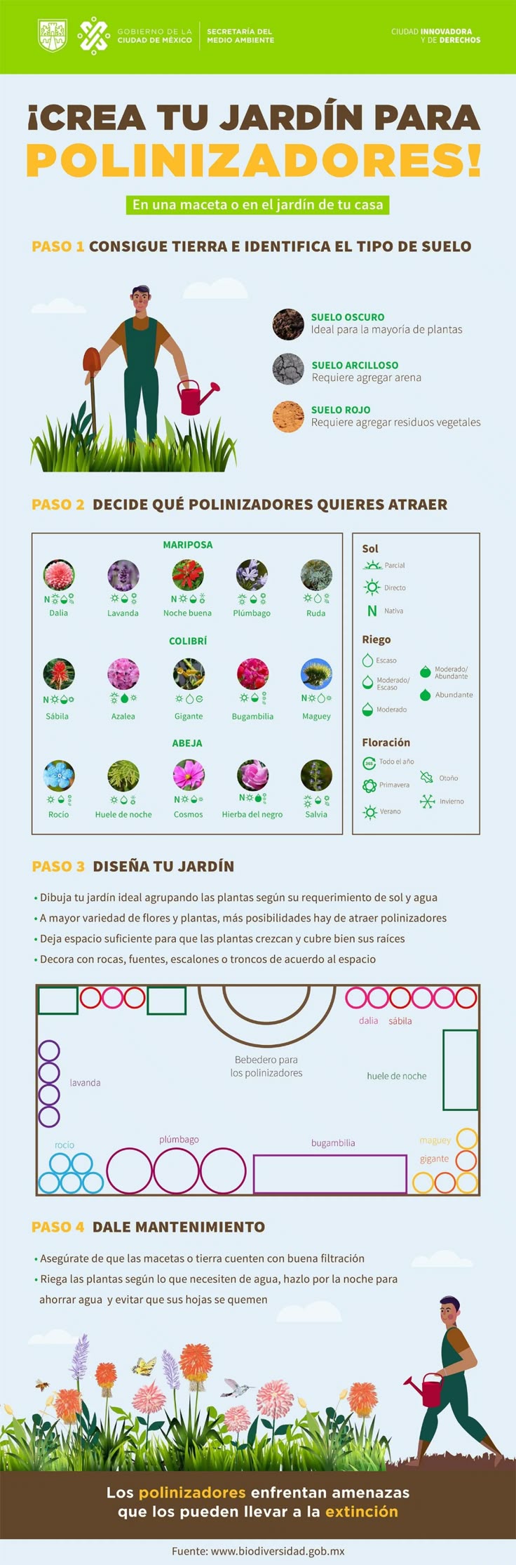 Crea tu jardín de polinizadores